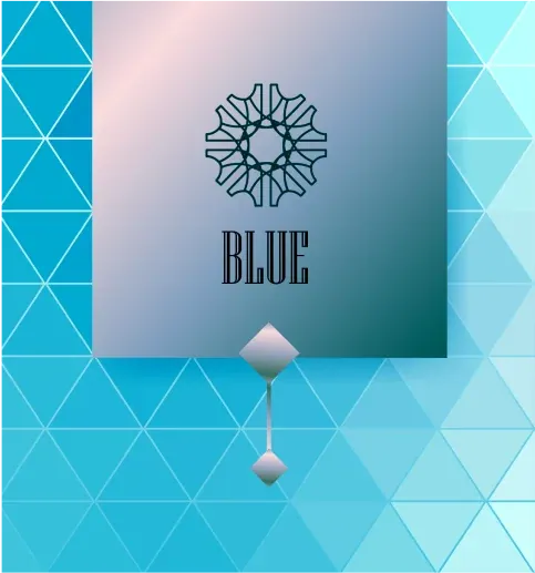 KIXO9 Blue loyalty membership card
